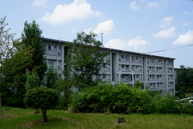 大阪公宅再造踏查（上）：兩年八步驟，50年老社區變年輕小家庭新樂園