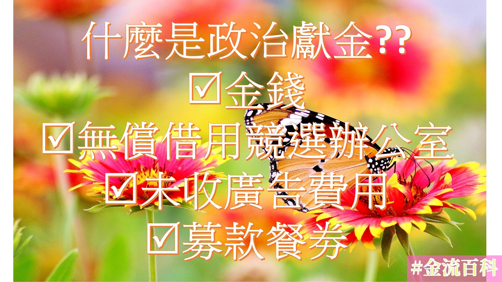 選舉公報沒說的秘密！「金流百科」用數據美圖揭政壇錢脈、人脈｜g0v獎助金獲獎專案6