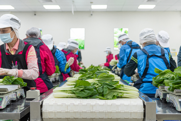 武漢肺炎》城市防疫｜各行各業都要罩！桃園助銷96噸蔬菜，祭出中小企業紓困方案