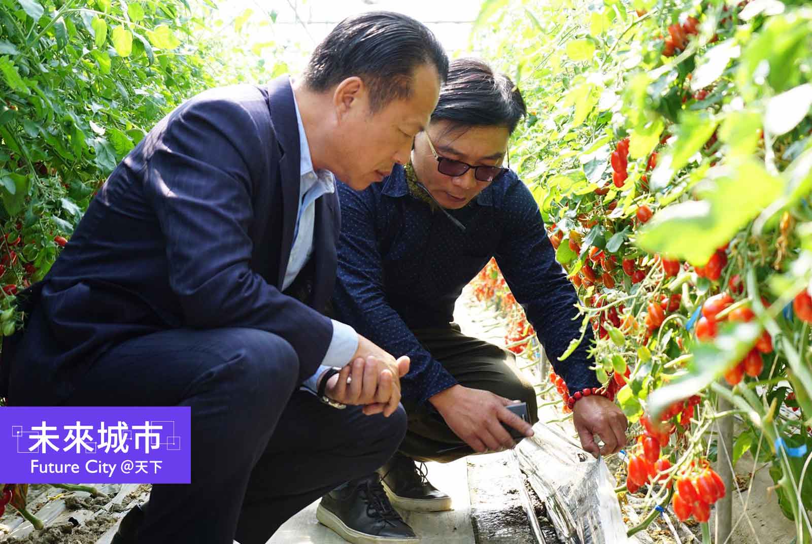 當氣候變遷、農民減少，嘉義如何用智慧科技解決農業危機？｜翁章梁專欄