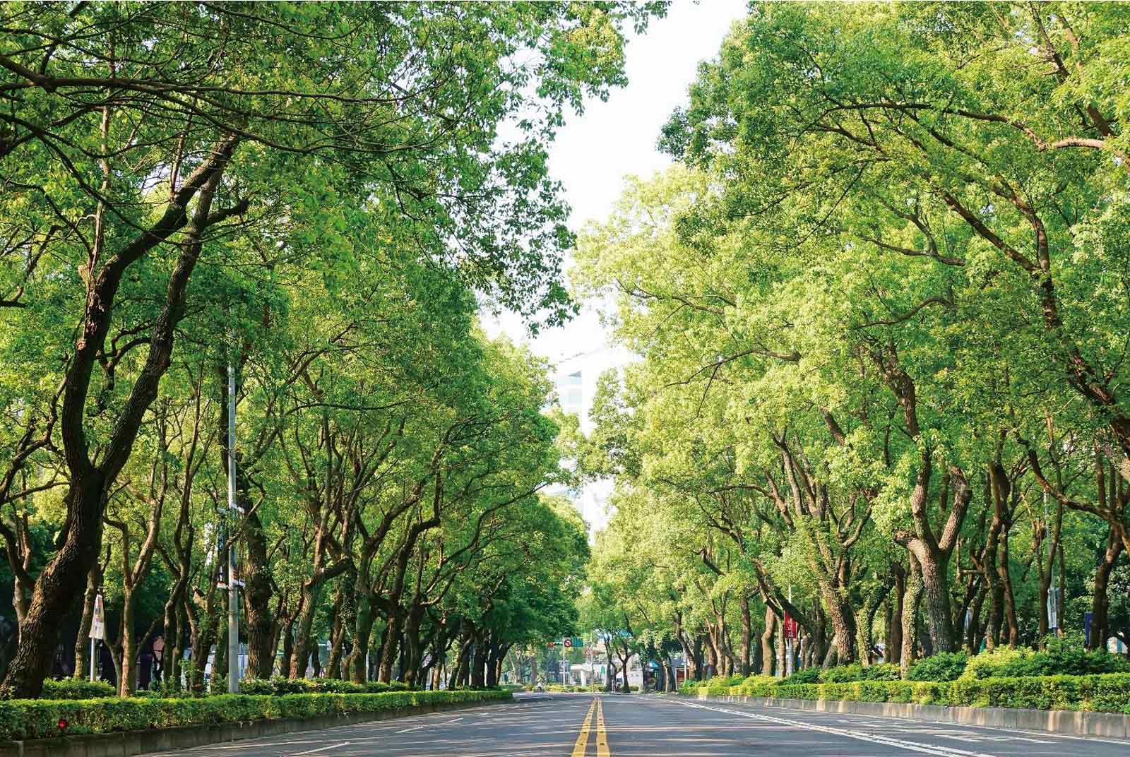 零碳台北，永續未來