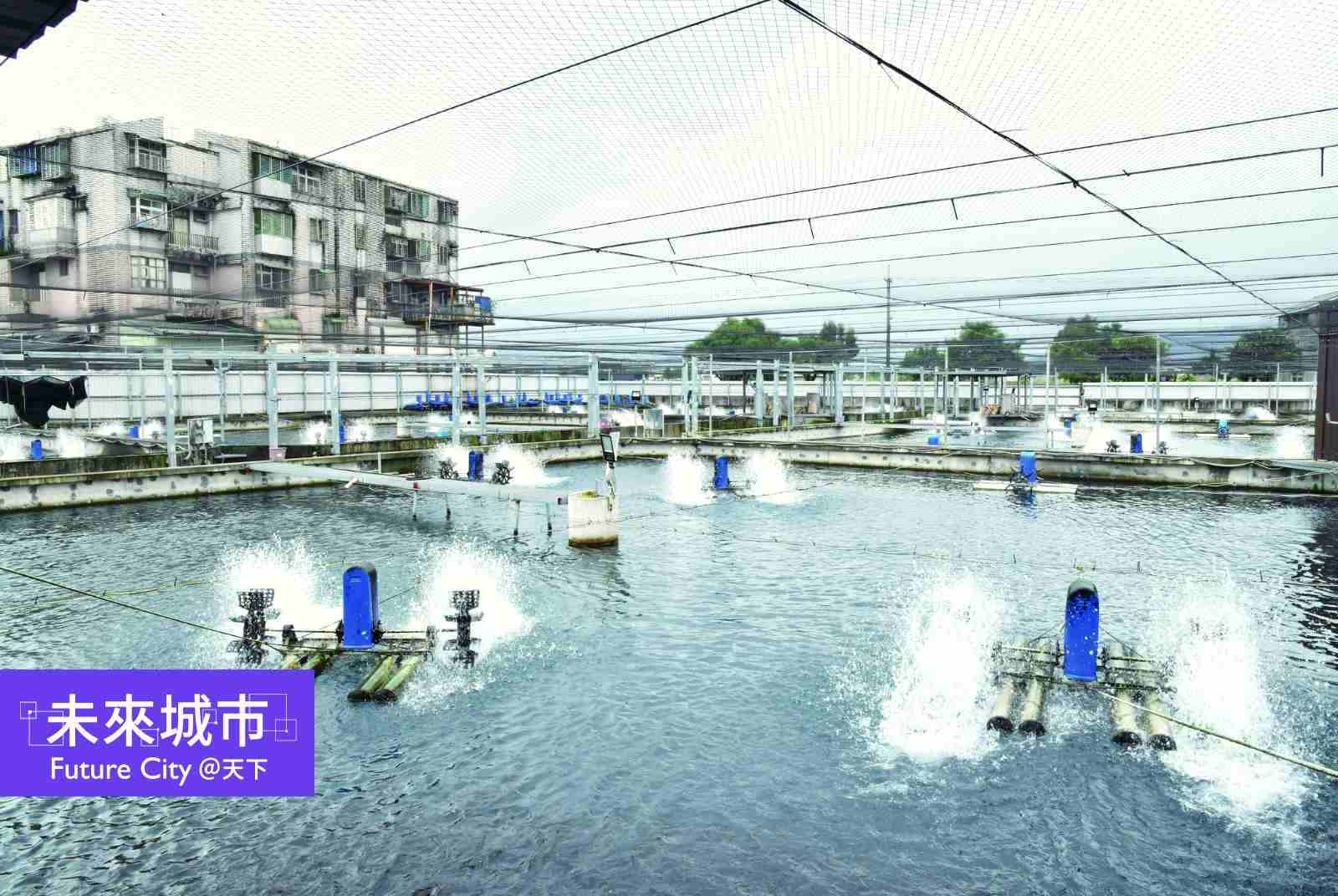 漁業的未來在養殖！海大教授張忠誠助養殖業低成本AI轉型