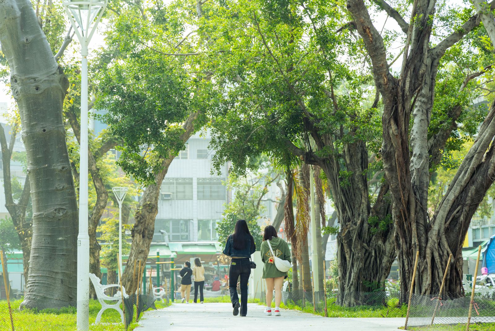 從熱島效應到綠意盎然 高雄空間綠美化打造城市小森林