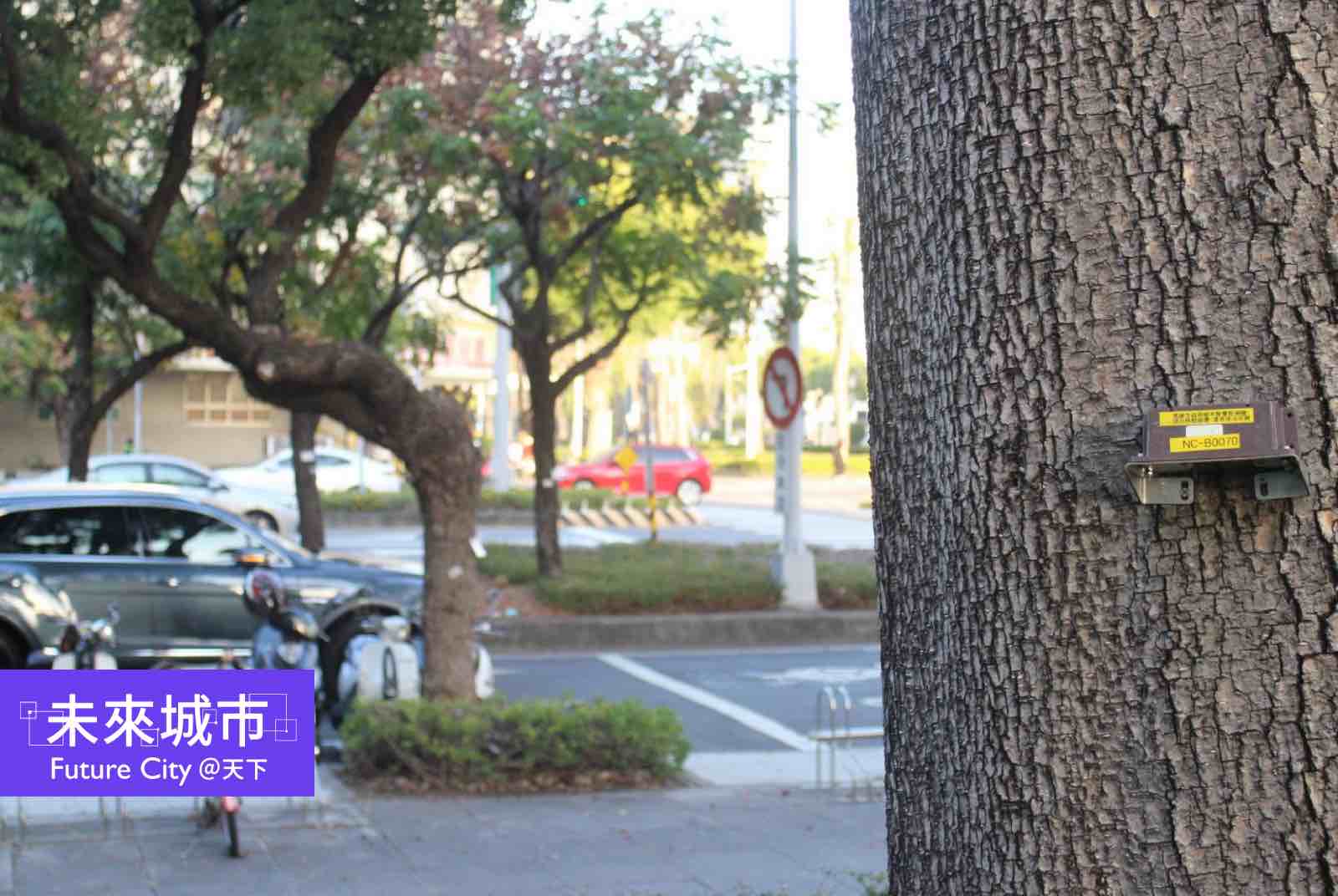 路樹為何突然倒下?高雄打造數位孿生城市防災,輝達驚呼「這就是我要的!」