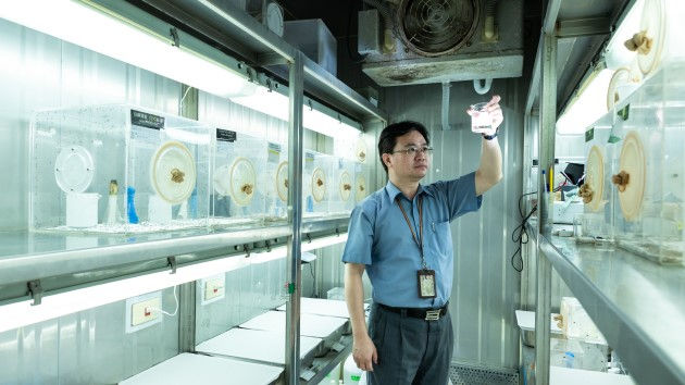 台灣大學公衛學系副教授蔡坤憲長期研究各種蚊子，更找出能吃孑孓的劍水蚤防治登革熱。（吳宙棋攝）