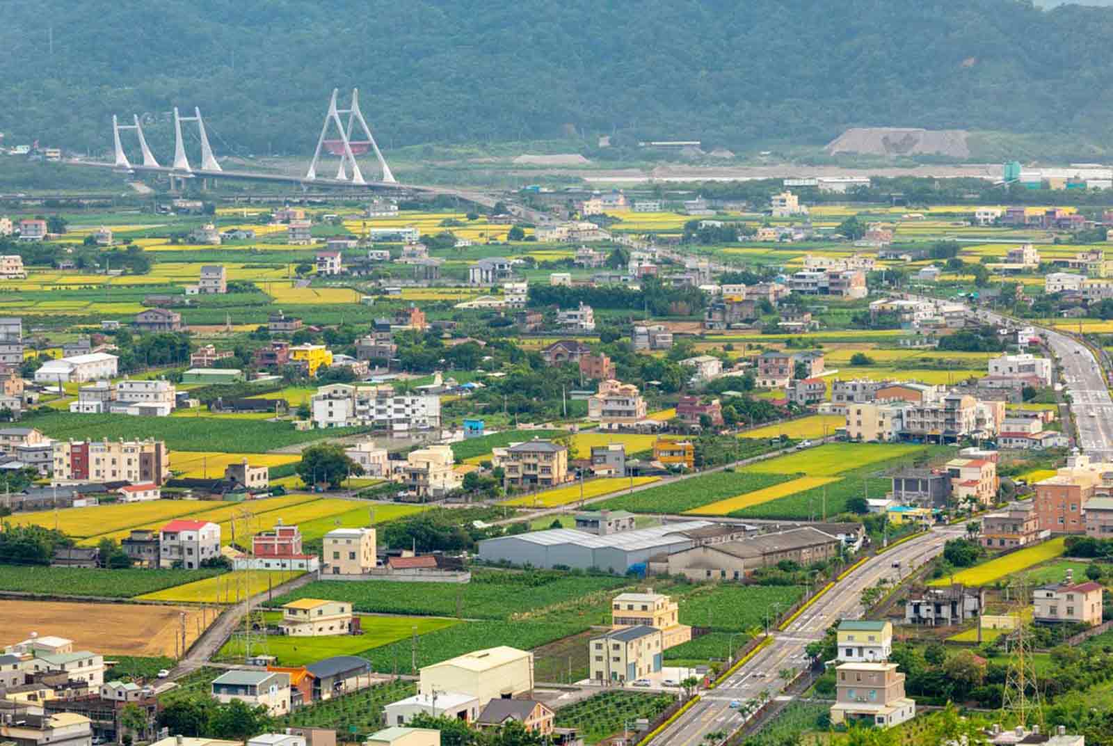 苗栗是石虎重要棲地，地方透過法規、智慧工具守護珍貴的生命與生態。
