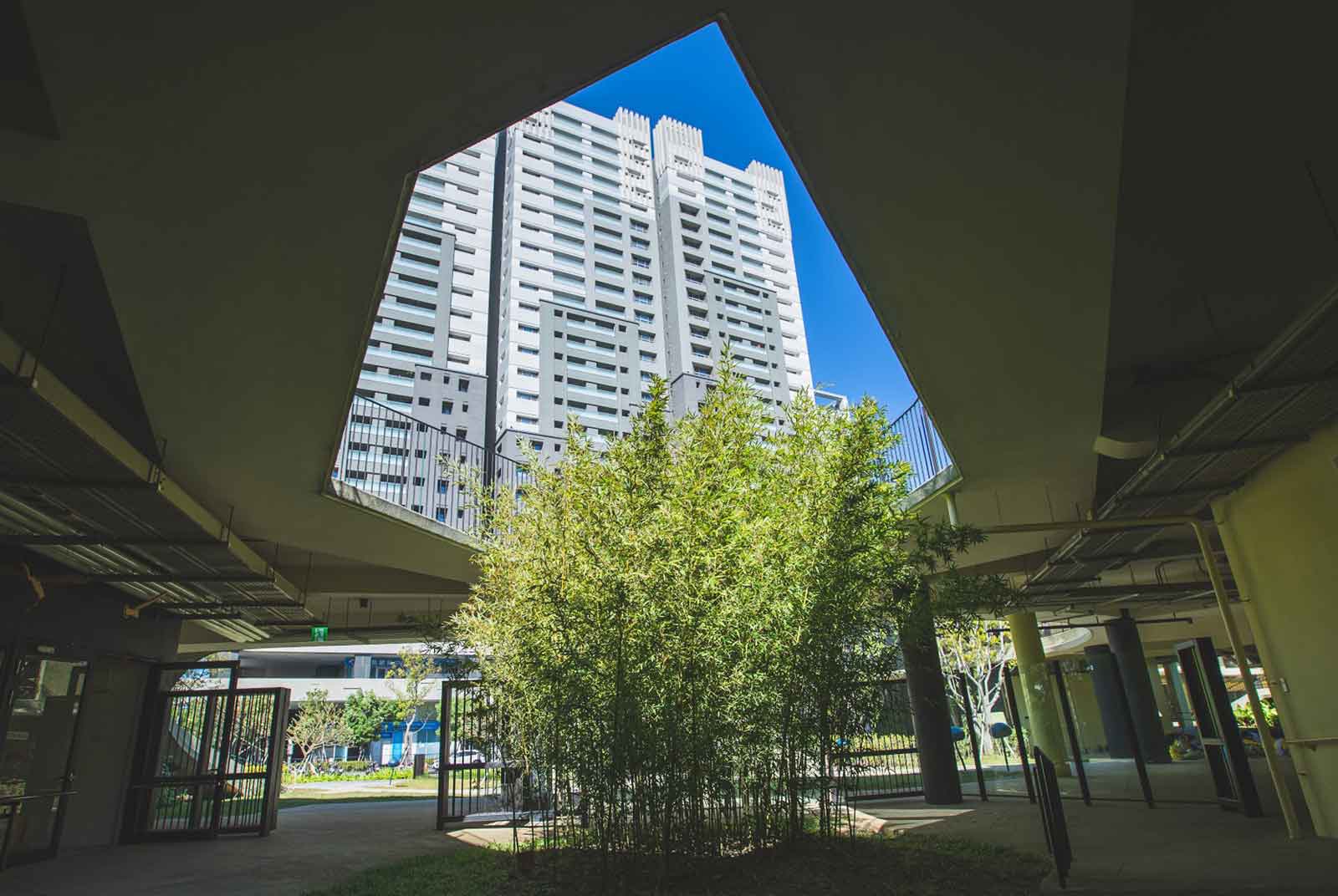 天井桂竹林等特色景觀，讓民眾對關埔國小印象深刻。