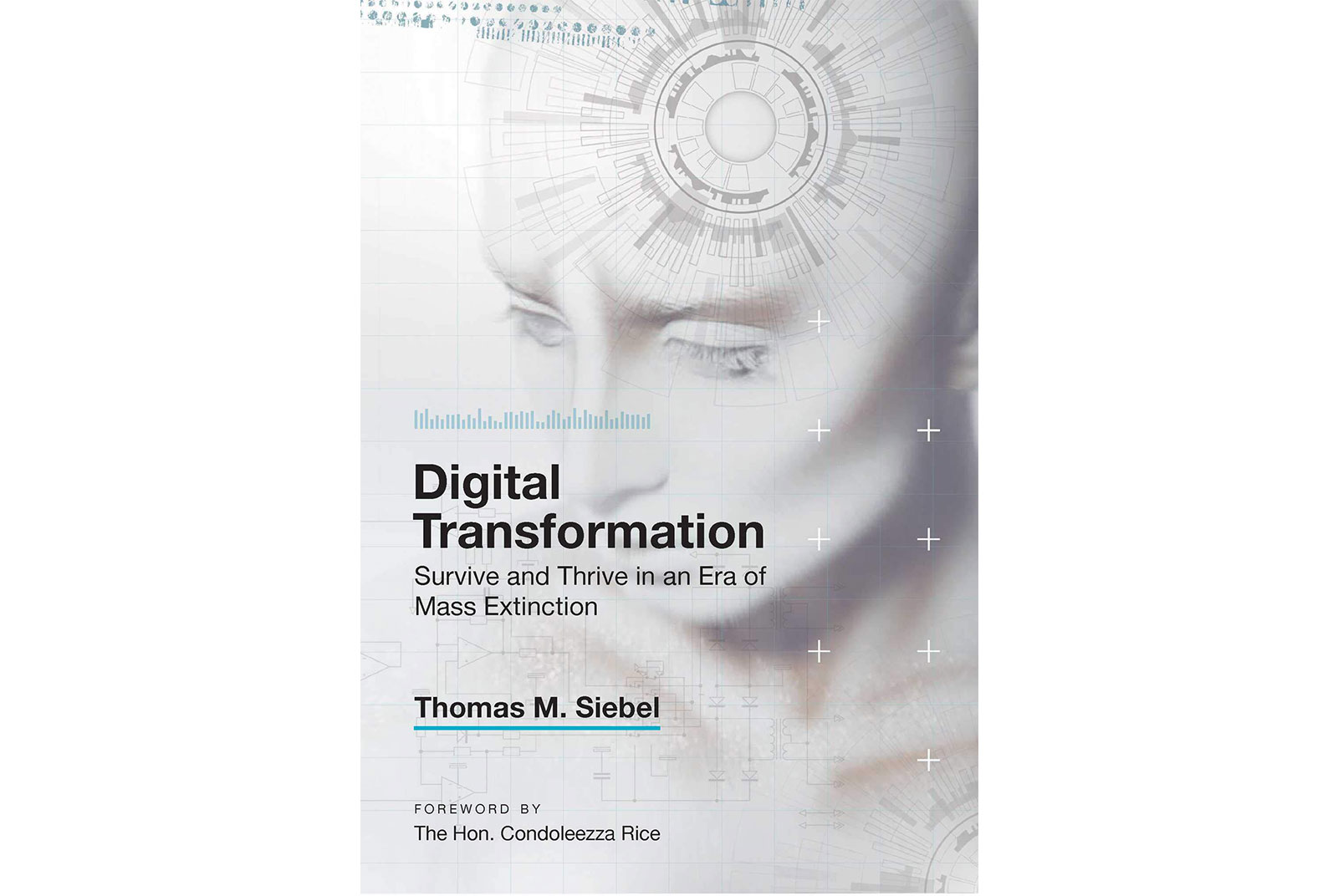 Digital Transformation: Survive and Thrive in an Era of Mass Extinction​​​​​​​。