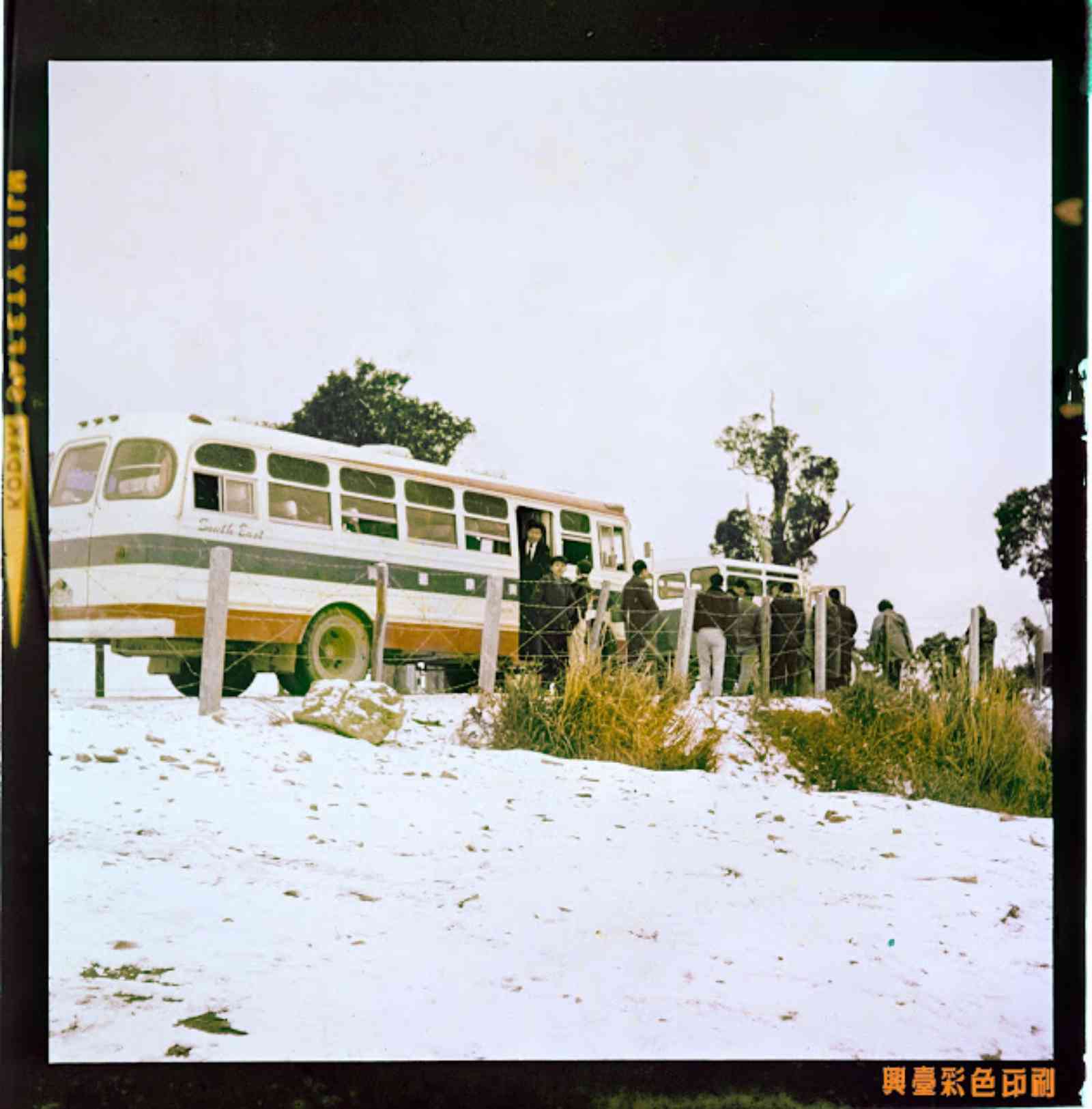 在合歡山除了自行開車上山，也有公共交通工具載大批遊客上山賞雪。圖片來源：興台彩色印刷 創辦人陳耿彬拍攝