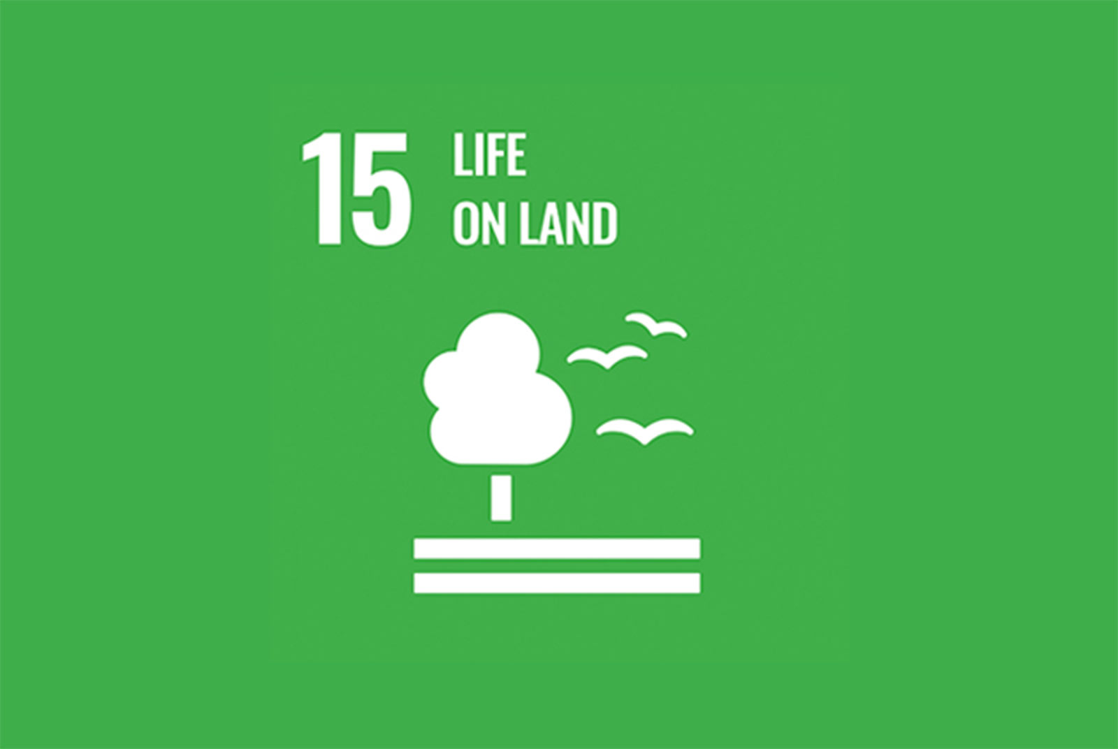 聯合國永續發展目標-SDGs-目標15-細項-實例-保育及永續利用陸域生態系-生物多樣性