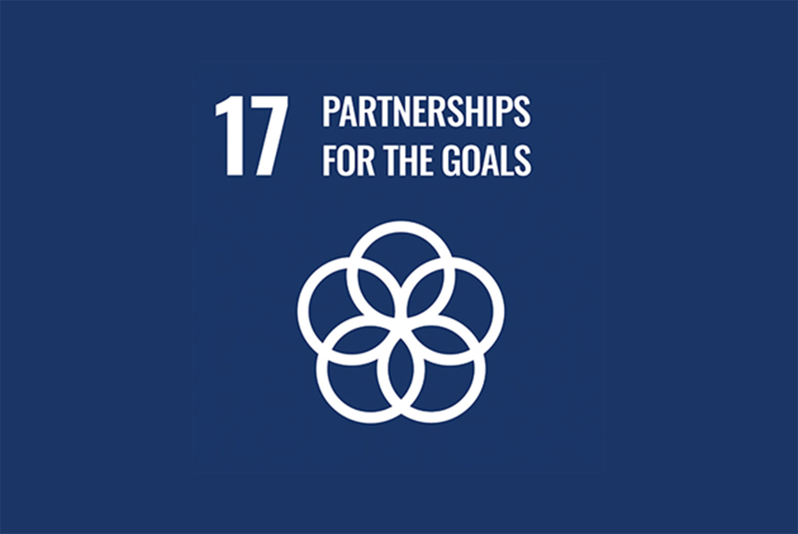 聯合國永續發展目標-SDGs-目標17-細項-實例-建立多元夥伴關係