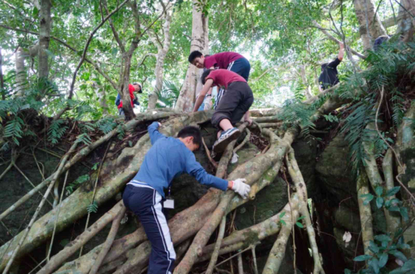 隱身山林間的鸞山森林文化博物館。圖片來源：鸞山森林文化博物館