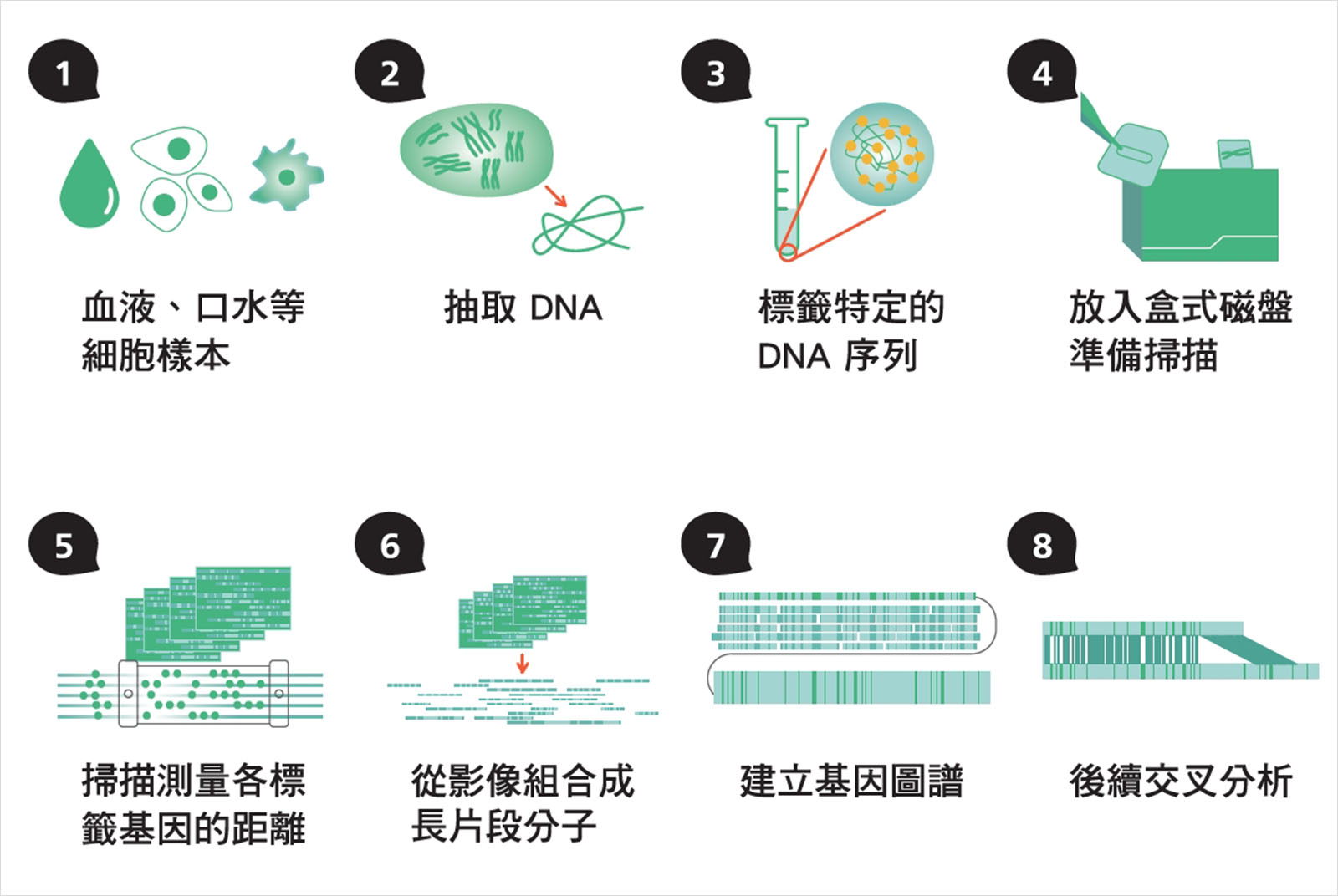 基因分析-基因圖譜流程-基因檢測-精準醫療-中研院-研之有物-智慧醫療