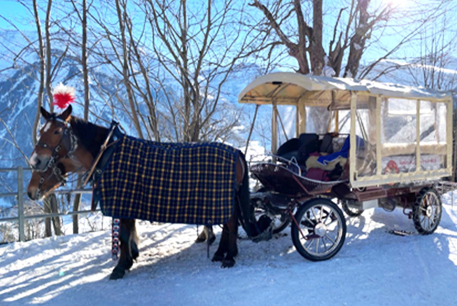 Braunwald-瑞士-棕林-馬車-無車城-親子-旅遊-觀光-低碳交通