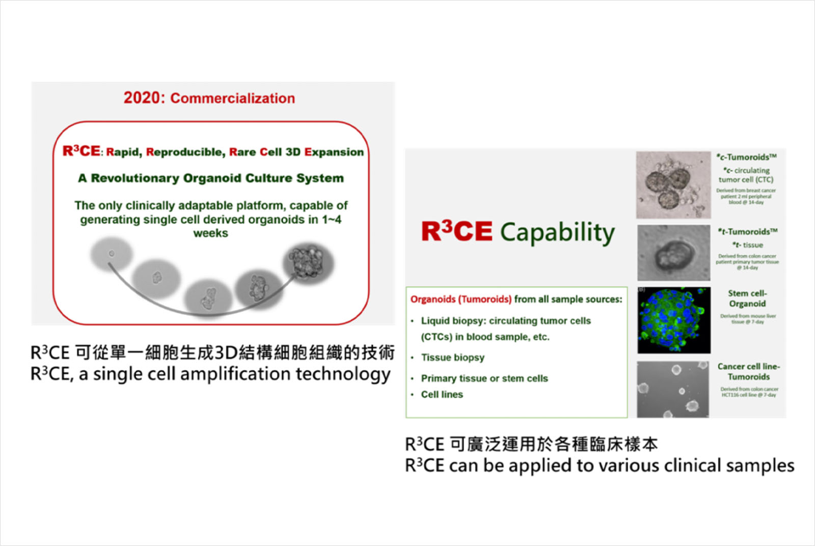 張瑛芝-中研院-R3CE-3D細胞培養-癌細胞-精準醫療-智慧醫療