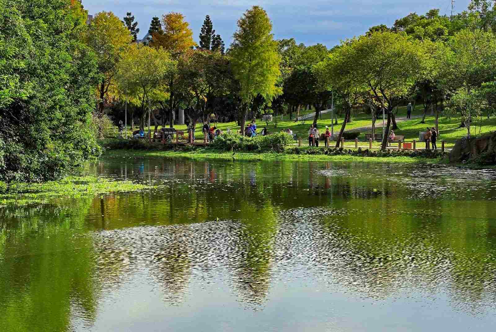 大安森林公園-樹木-修剪-養護-公園-都市-SDGs