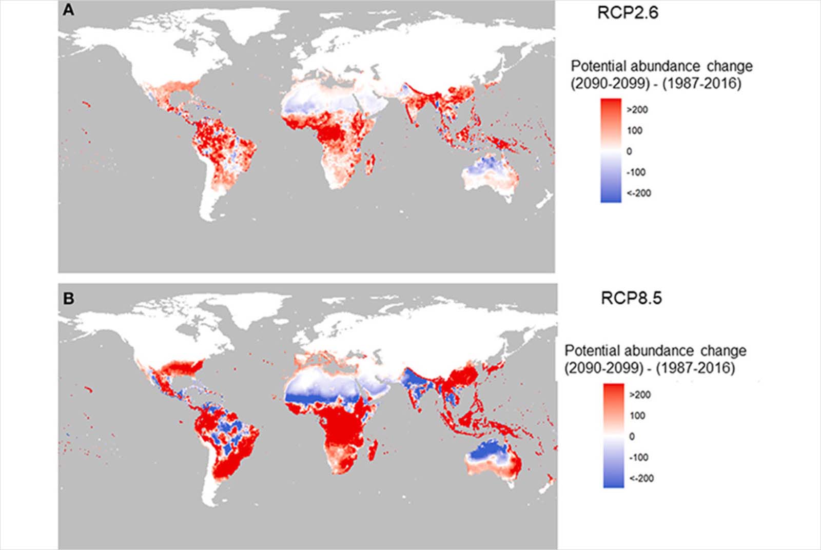 埃及斑蚊-IPCC-棲地-變化-暖化-極端氣候-病媒蚊-登革熱