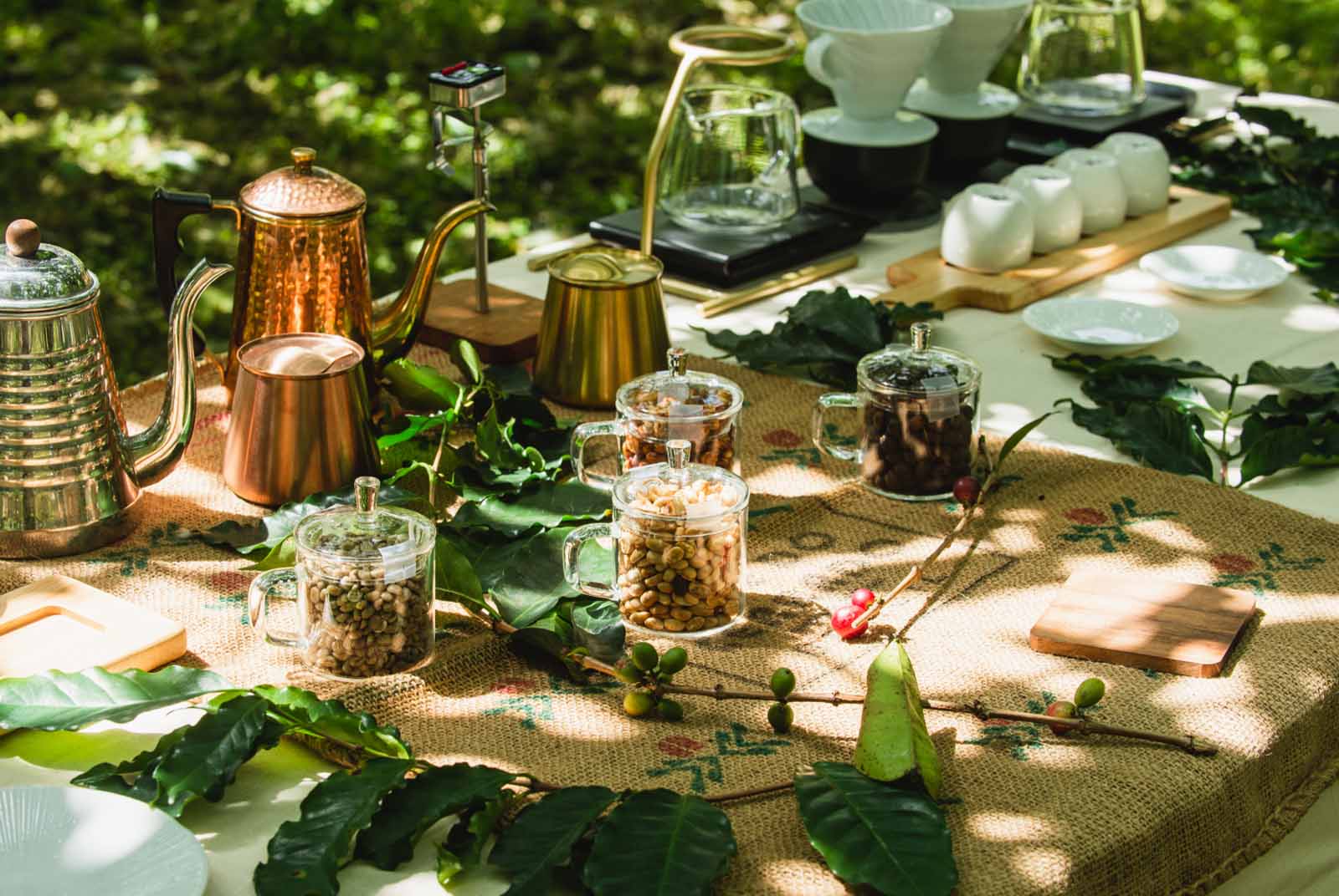 瑞穗-柚花-品茶-茶席-精緻農業-精品觀光-地方創生-花蓮縣