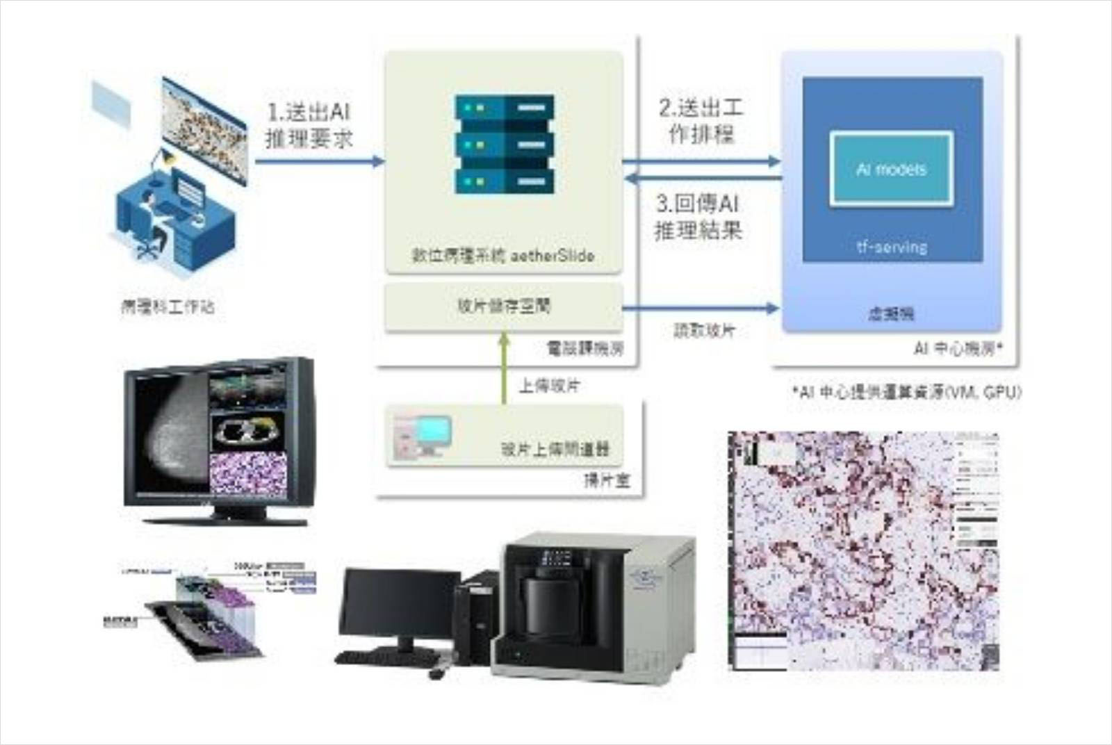 林口長庚解剖病理部-數位轉型-病理影像-人工智慧-國家生技醫療品質獎-銅獎-智慧醫療-生策會-SNQ