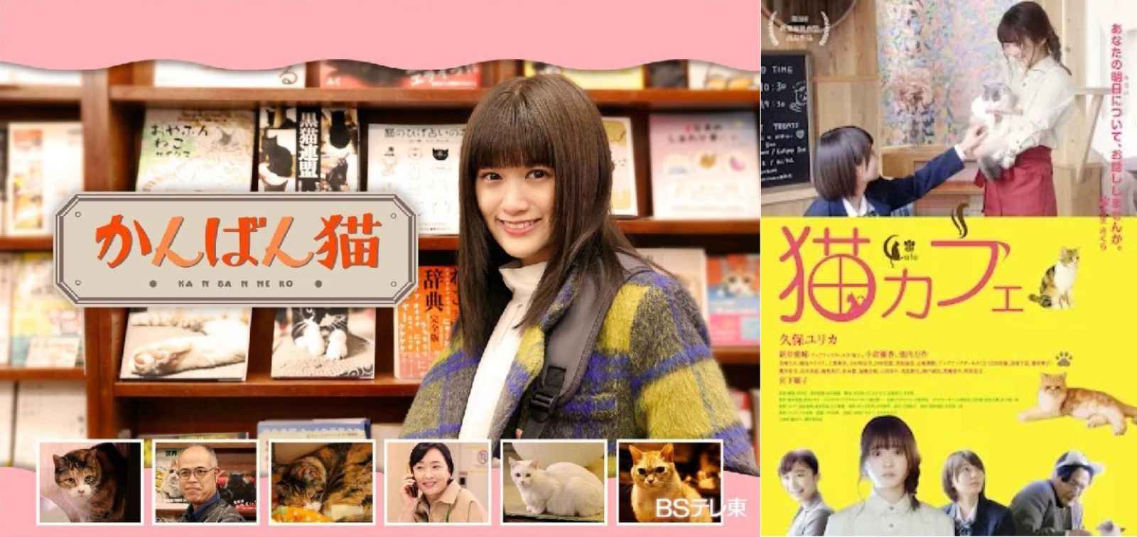 看板貓-貓咪咖啡廳-寵物友善城市-動物-流浪動物-毛小孩-林一平-貓-城市治理-戲劇-電影