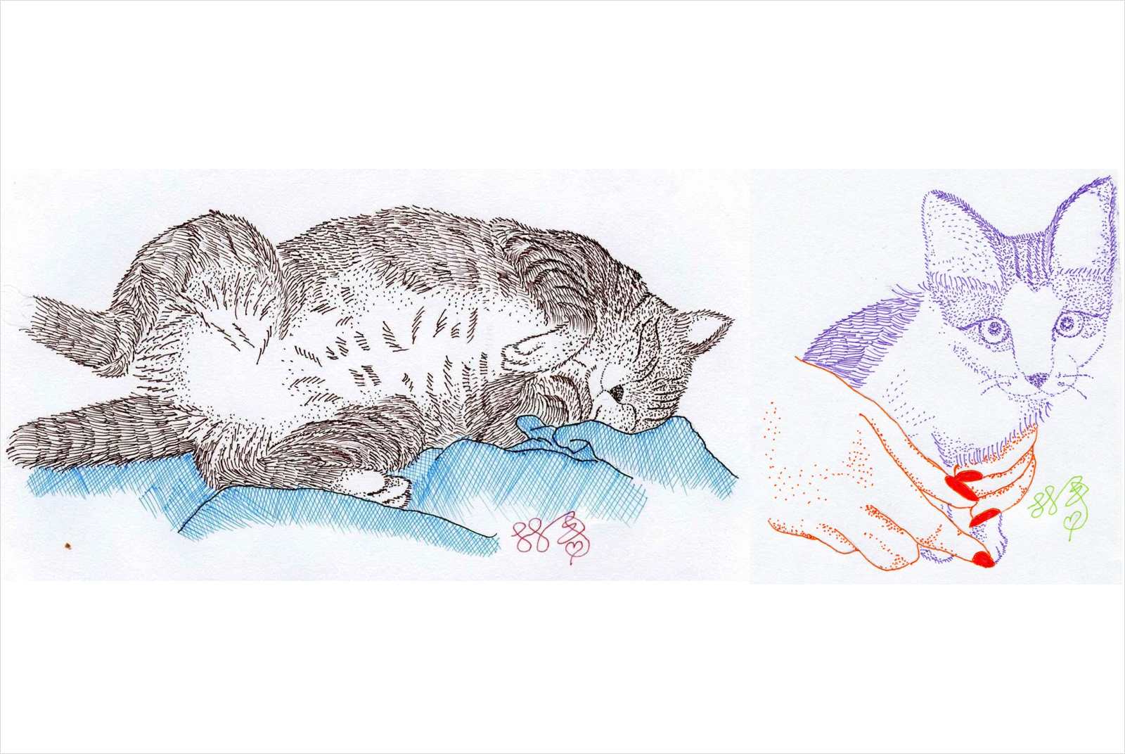 寵物友善城市-動物-流浪動物-毛小孩-林一平-貓-城市治理-戲劇-電影