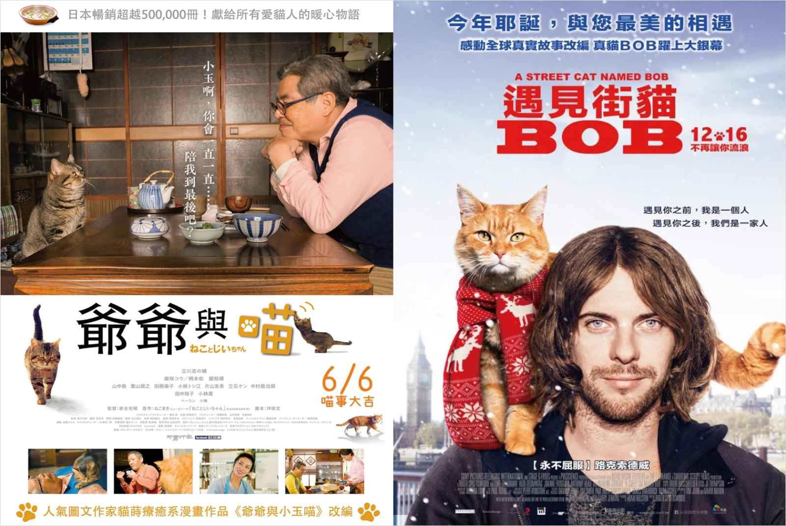 爺爺與喵-遇見街貓BOB-寵物友善城市-動物-流浪動物-毛小孩-林一平-貓-城市治理-戲劇-電影