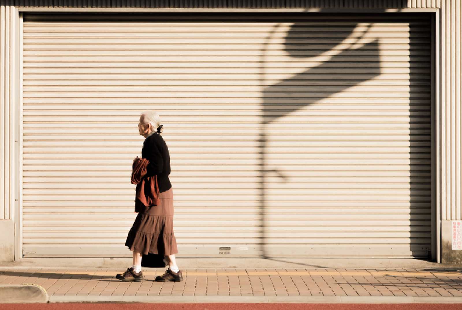 日本-富山-toyama-永續城市-SDGs-緊湊城市-compact city-大眾運輸-高齡化-輕軌-路面電車-森雅志-Toyama LRT-行人-人行道-安全-都市規劃-高齡-健康