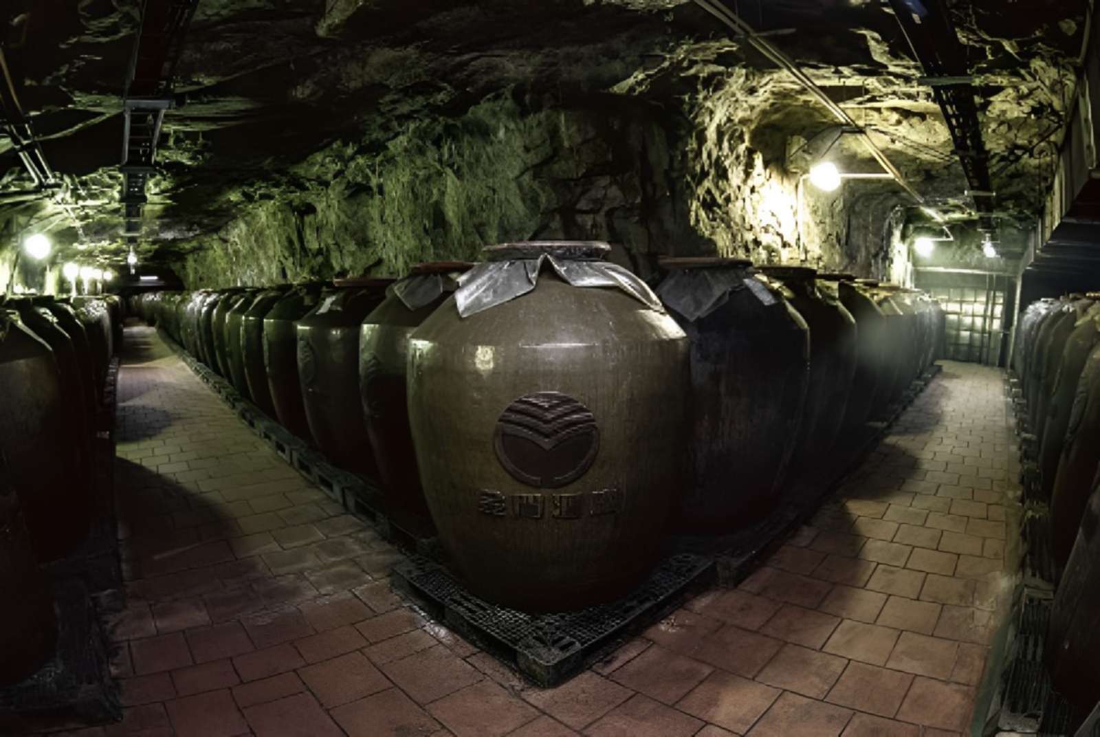 金門酒廠-金門高粱-防空洞-林一平-金門-金門特產-文化