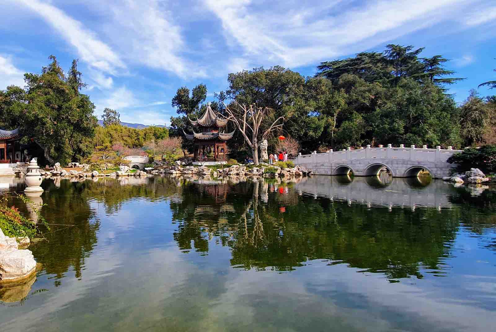 杭廷頓植物園-赫特里希-城市綠地-都市規劃-智慧城市-景觀設計-棕櫚園-藥草園