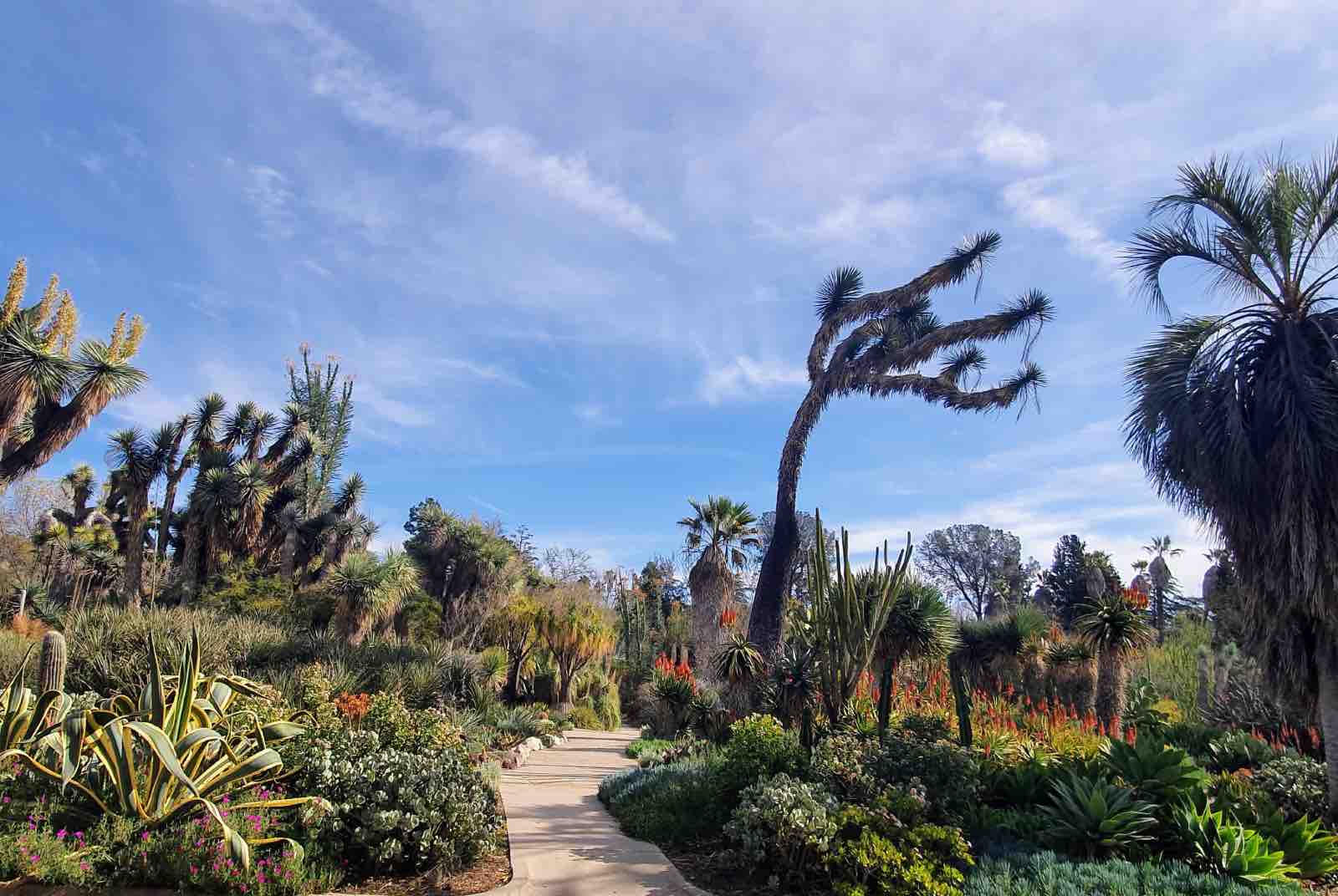 杭廷頓植物園-赫特里希-城市綠地-都市規劃-智慧城市-景觀設計-棕櫚園-藥草園